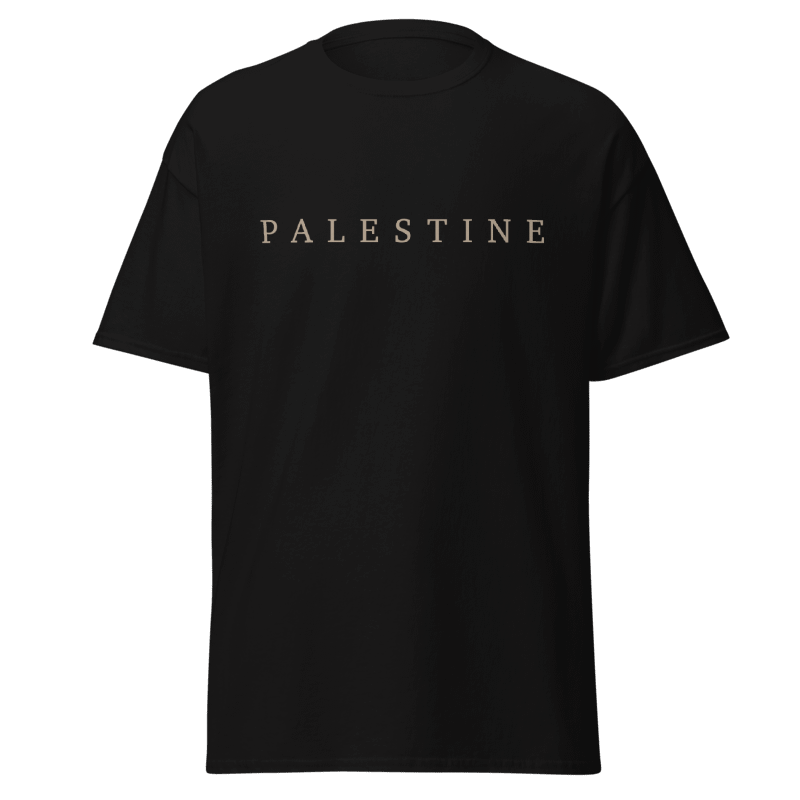 Minimalist 'Palestine' T-Shirt