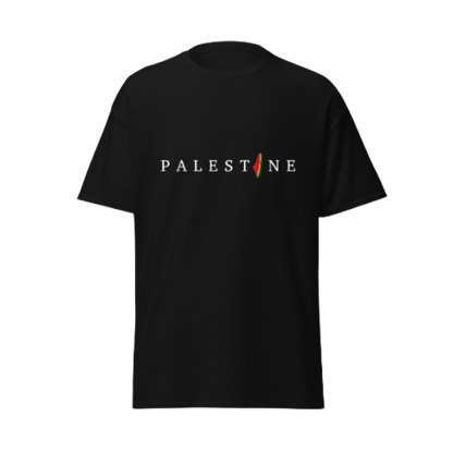 Palestine Top
