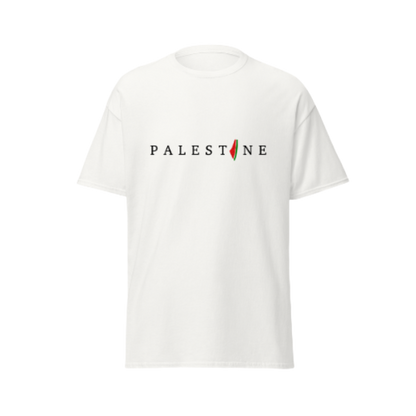 Palestine Top