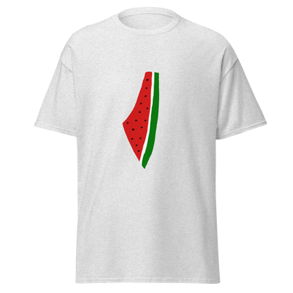 Watermelon Historic Palestine Map Top