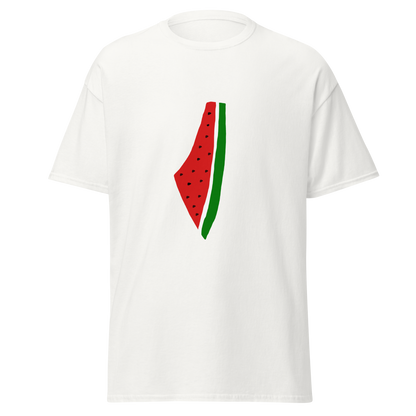 Watermelon Historic Palestine Map Top